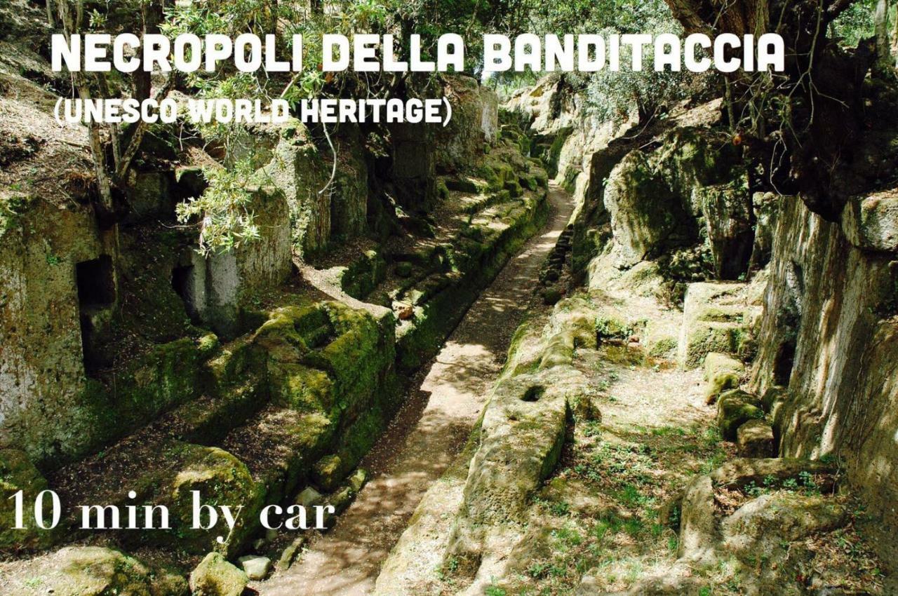 Domus Palombi Apartment Ladispoli Luaran gambar